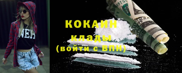 индика Пересвет