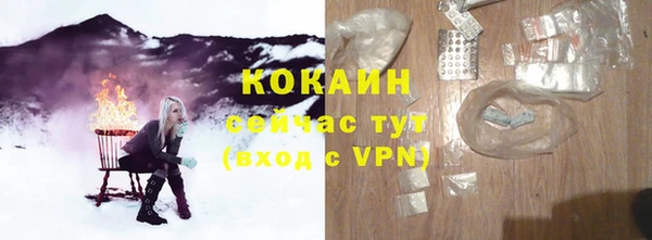 индика Пересвет