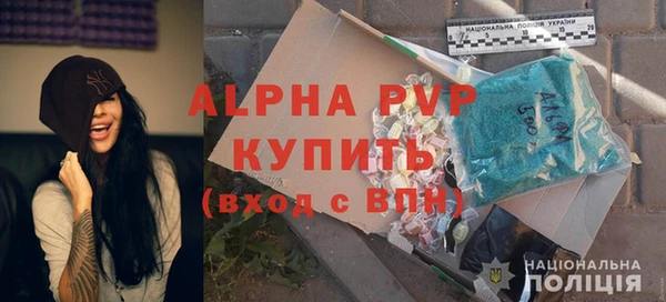 индика Пересвет