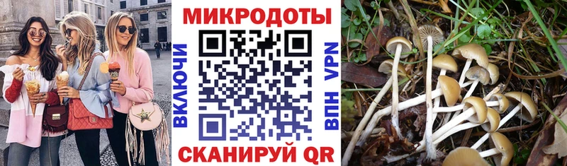 Псилоцибиновые грибы Cubensis  Советск 