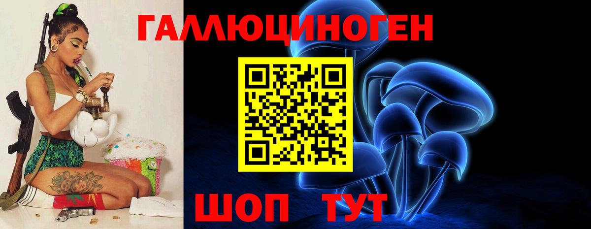 Советск  Галлюциногенные грибы Psilocybine cubensis  Вход с VPN 